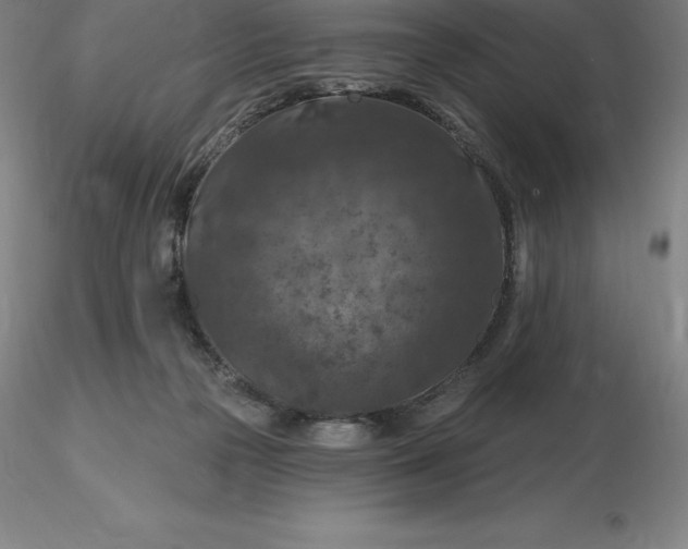 X0000116280169200912211826