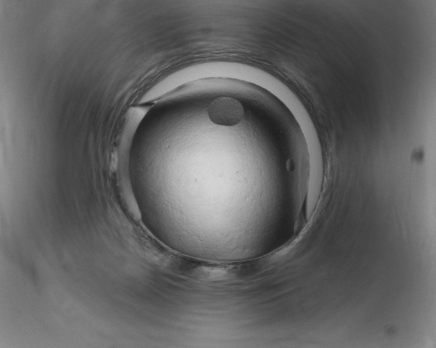 X0000116280170200912211826