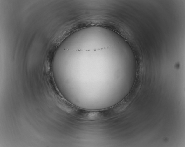 X0000116280173200912211827