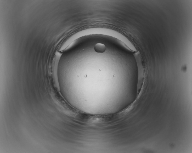X0000116280174200912211827