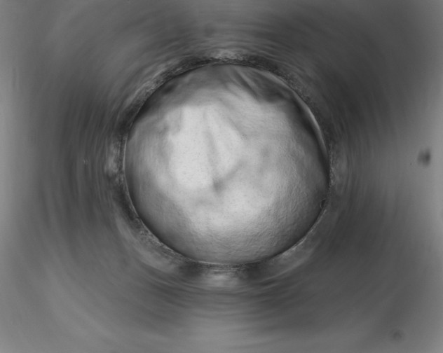 X0000116280175200912211827