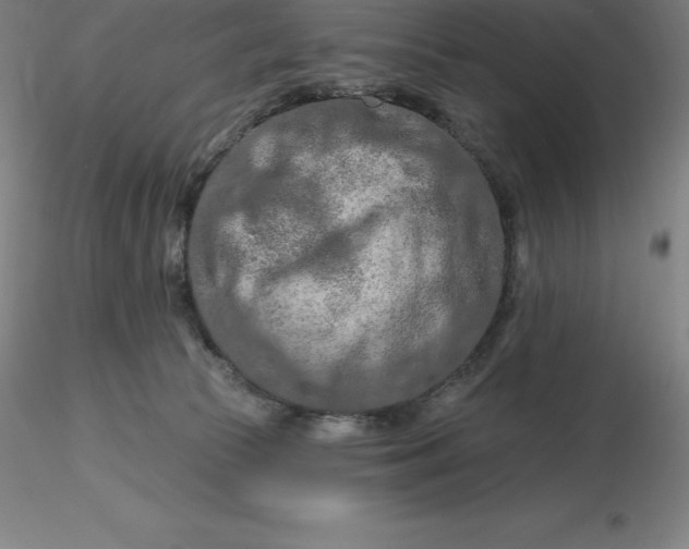 X0000116280177200912211827