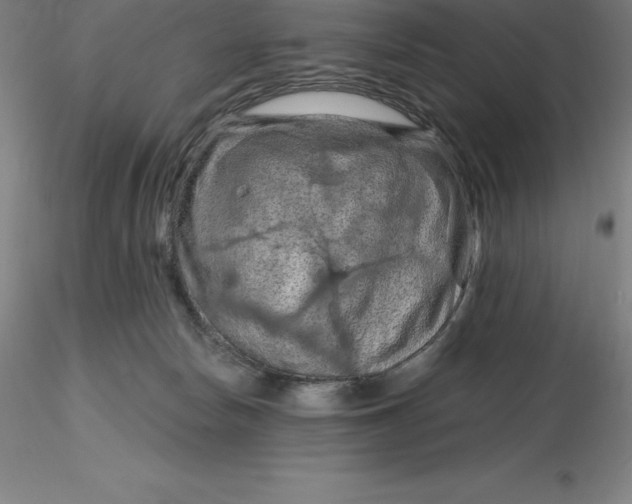 X0000116280178200912211827