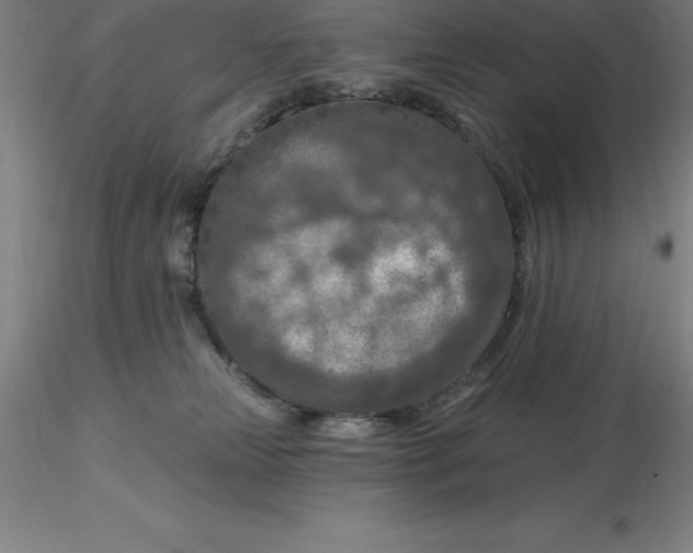 X0000116280181200912211827