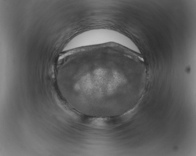 X0000116280182200912211827