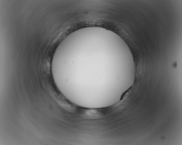 X0000116280183200912211827