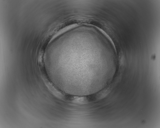 X0000116280185200912211827