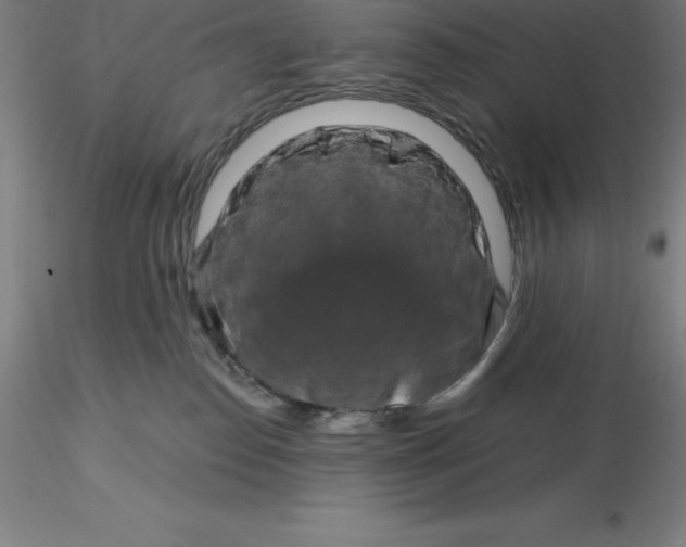 X0000116280186200912211827