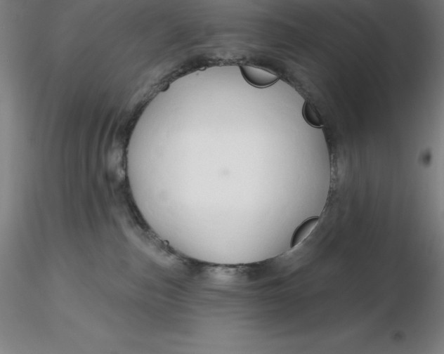 X0000116280187200912211827