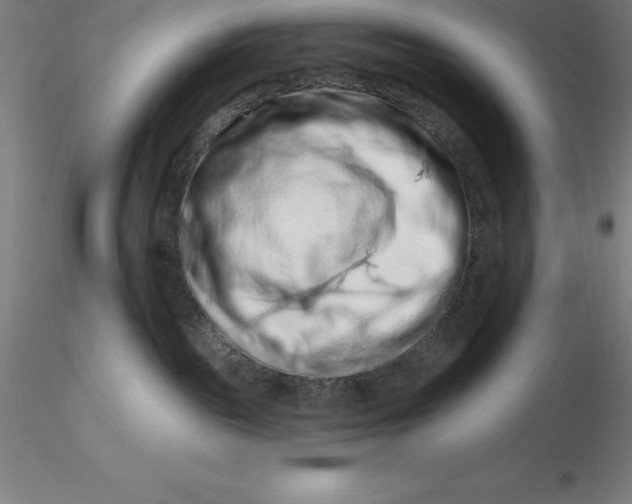 X0000116280189200912211827