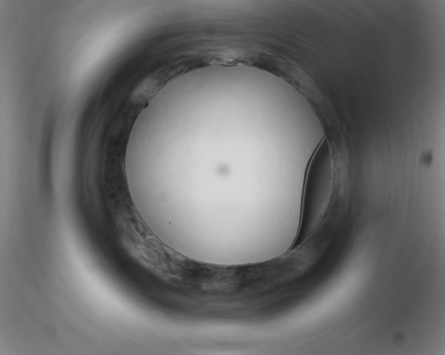 X0000116280191200912211827