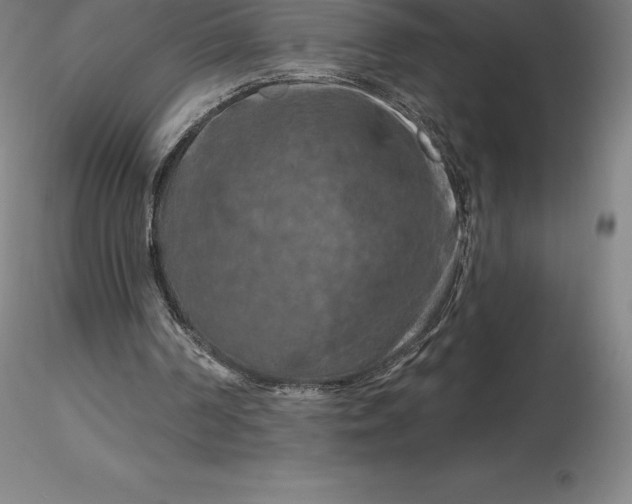 X0000116280194200912211826