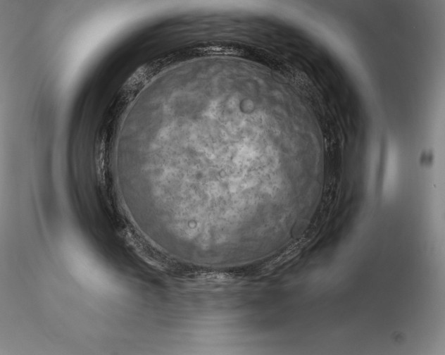 X0000116280195200912211826