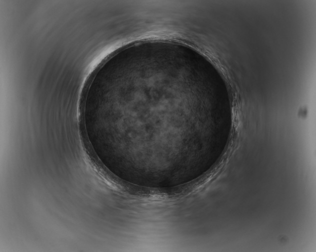 X0000116280196200912211826