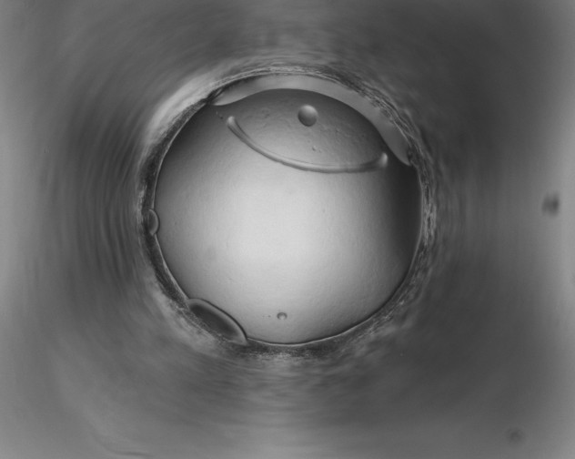 X0000116280197200912211826