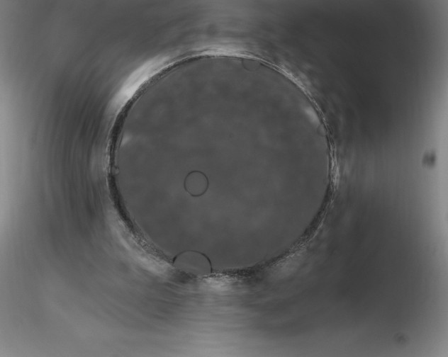 X0000116280199200912211826