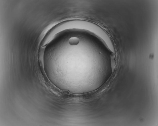 X0000116280200200912211826