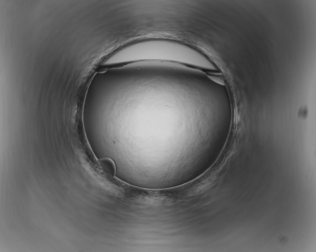 X0000116280201200912211826