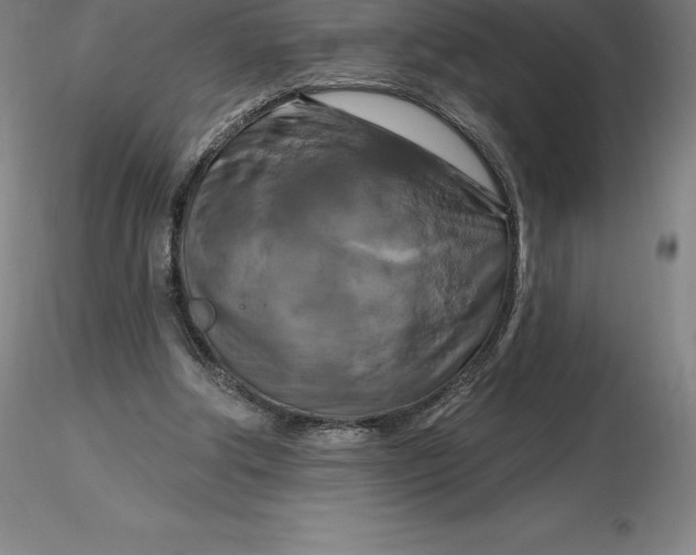 X0000116280202200912211826