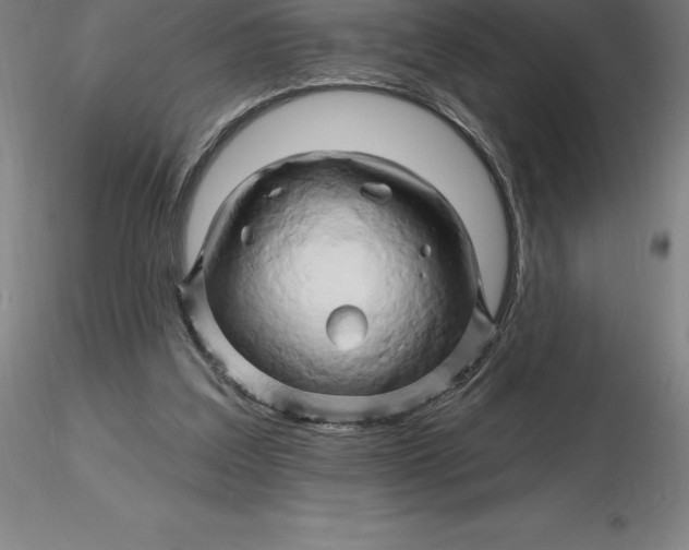 X0000116280203200912211826