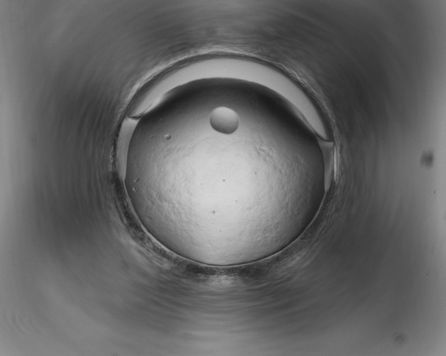 X0000116280204200912211826