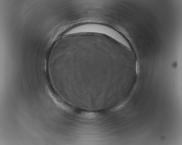X0000116280205200912211826