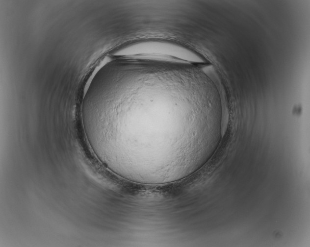 X0000116280207200912211826