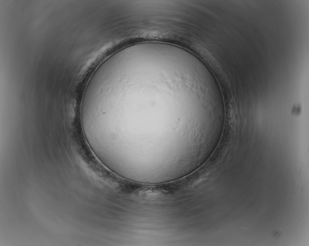 X0000116280208200912211826