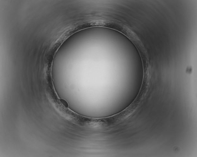 X0000116280209200912211826