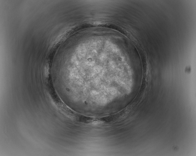 X0000116280210200912211826