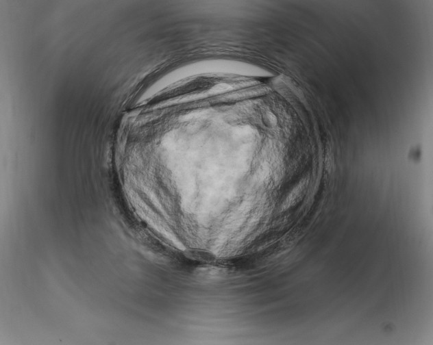 X0000116280211200912211826