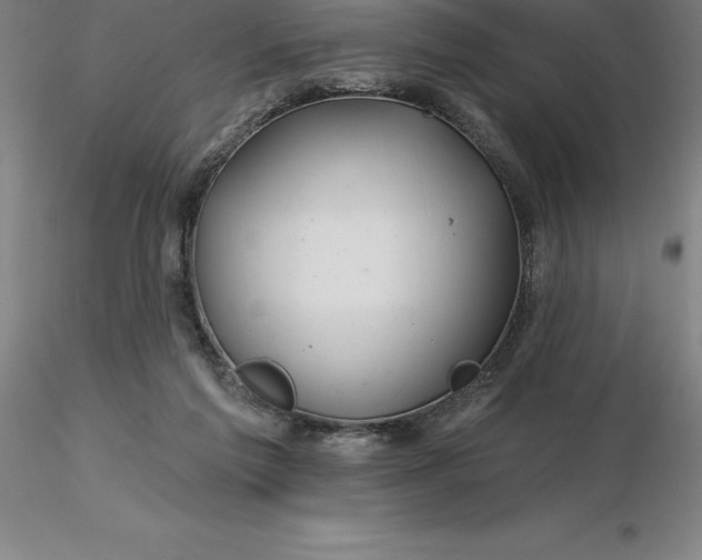 X0000116280213200912211826