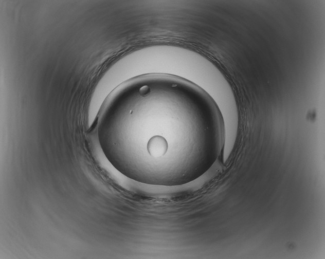 X0000116280215200912211826
