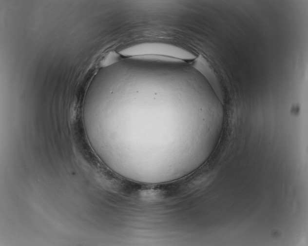 X0000116280216200912211826