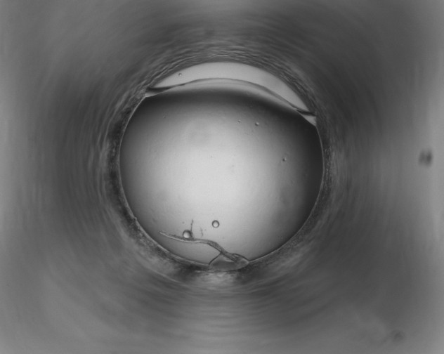 X0000116280217200912211826