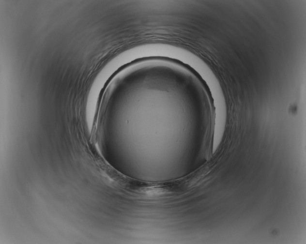 X0000116280219200912211826