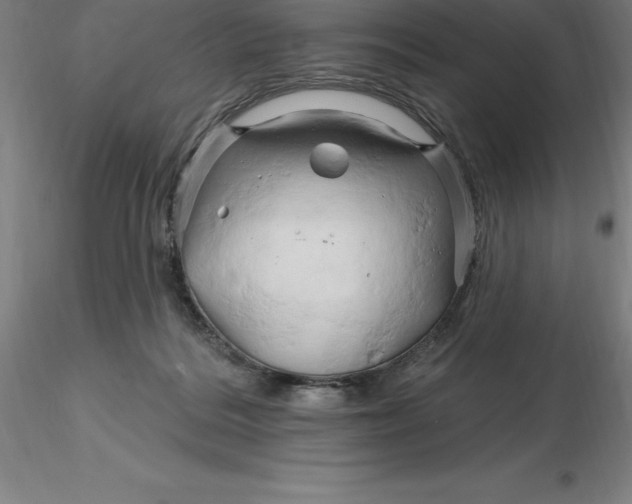 X0000116280220200912211826