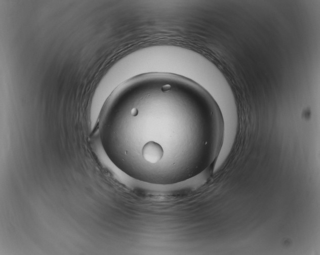 X0000116280221200912211826