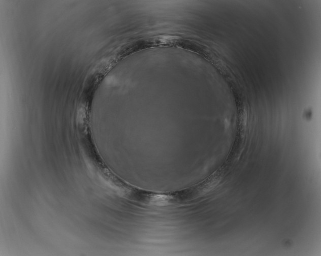 X0000116280222200912211826