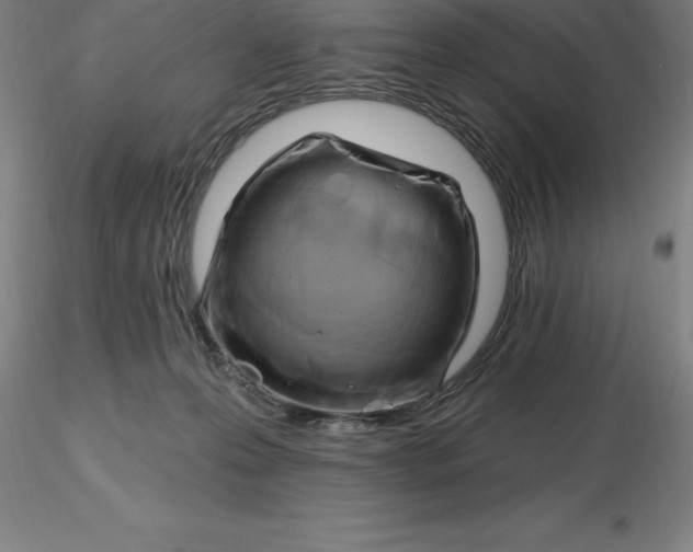 X0000116280223200912211826