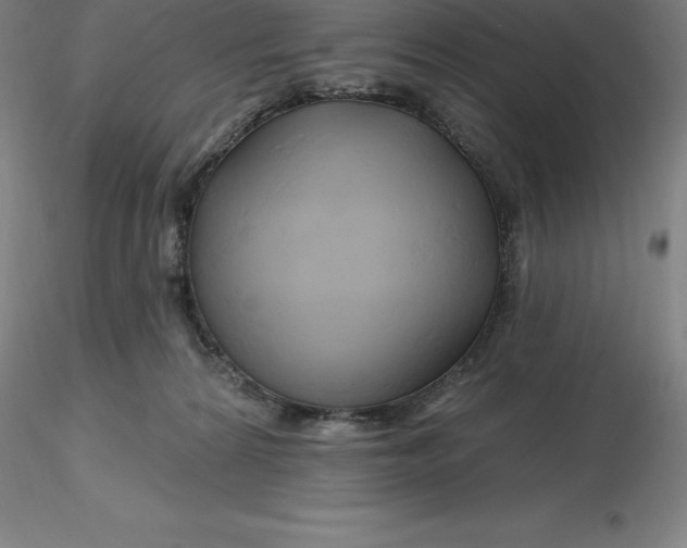 X0000116280224200912211826