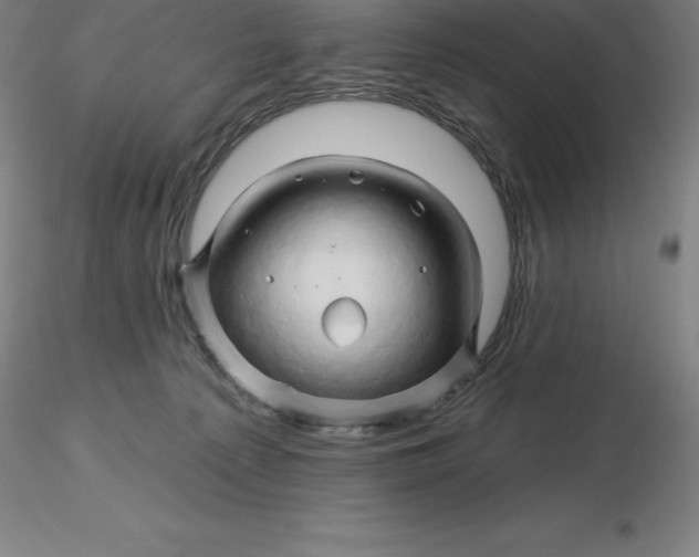 X0000116280225200912211826