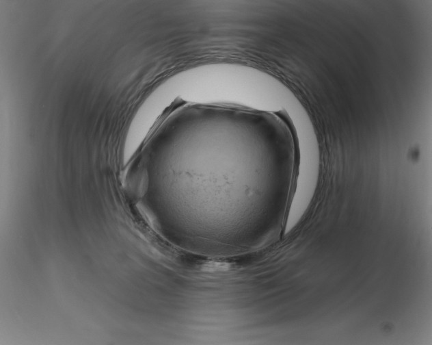 X0000116280227200912211826