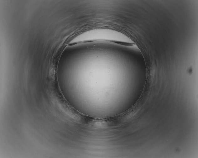X0000116280228200912211826