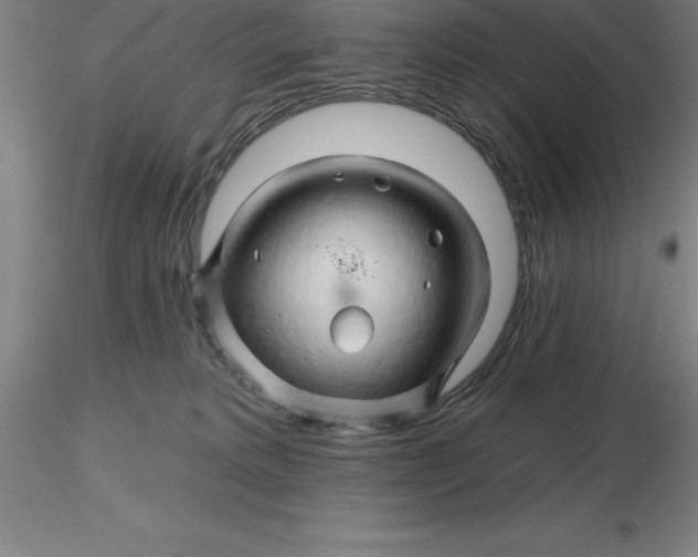 X0000116280229200912211826