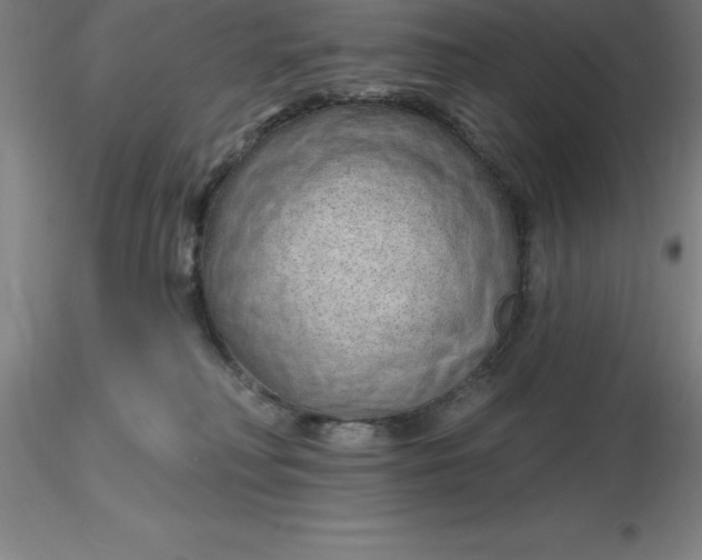 X0000116280230200912211826
