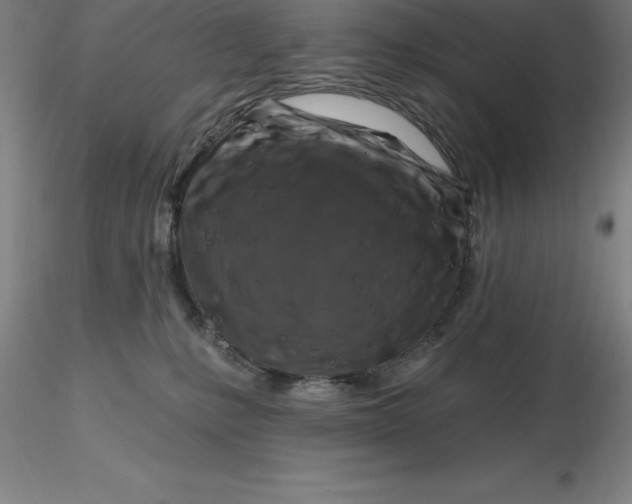 X0000116280231200912211826