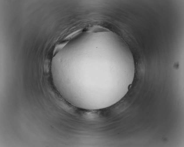 X0000116280232200912211826
