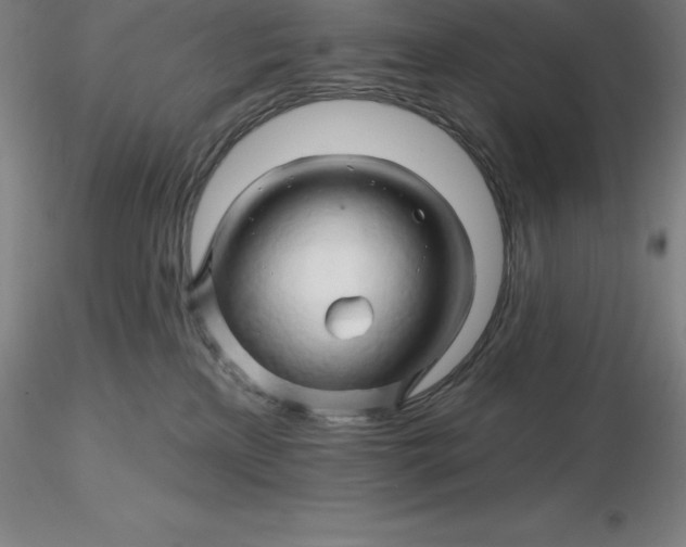 X0000116280233200912211826