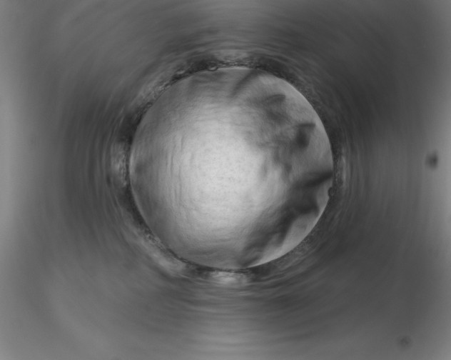 X0000116280234200912211826